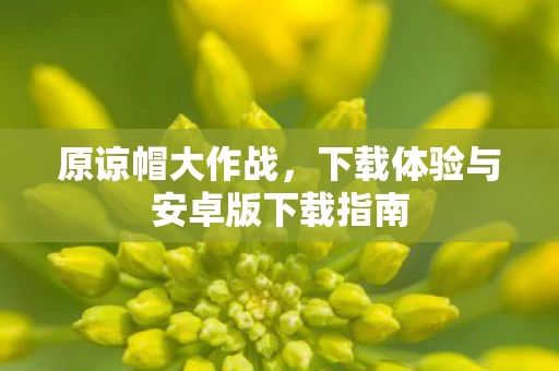 下载体验与安卓版下载指南图片