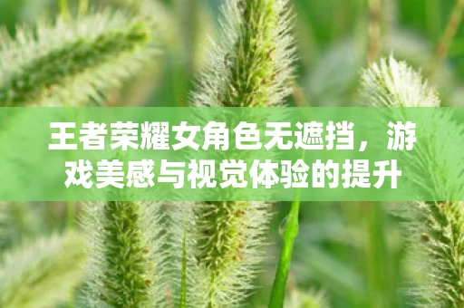 游戏美感与视觉体验的提升图片