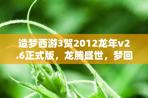 造梦西游3贺2012龙年v2图片