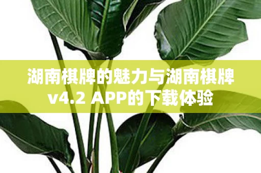 湖南棋牌的魅力与湖南棋牌v4图片