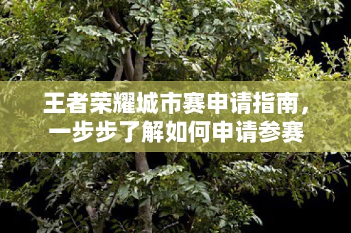 王者荣耀城市赛申请指南图片