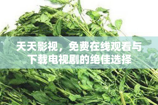 免费在线观看与下载电视剧的绝佳选择图片