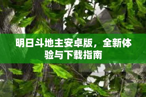 全新体验与下载指南图片