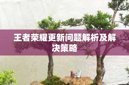 王者荣耀更新问题解析及解决策略图片