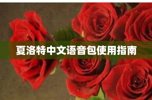 夏洛特中文语音包使用指南图片