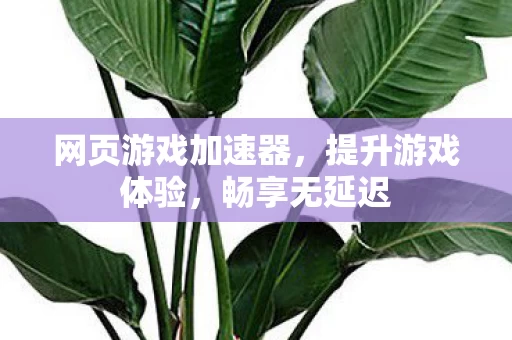 网页游戏加速器图片