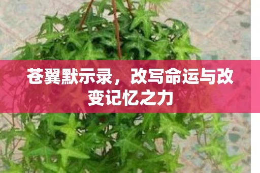 改写命运与改变记忆之力图片