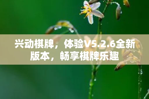 畅享棋牌乐趣图片