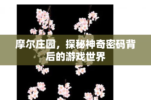 探秘神奇密码背后的游戏世界图片
