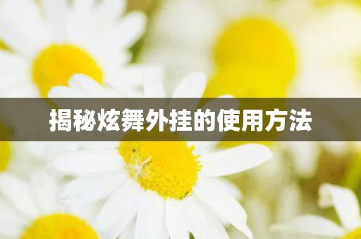 揭秘炫舞外挂的使用方法图片