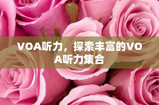 探索丰富的VOA听力集合图片