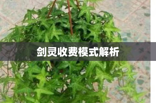 剑灵收费模式解析图片