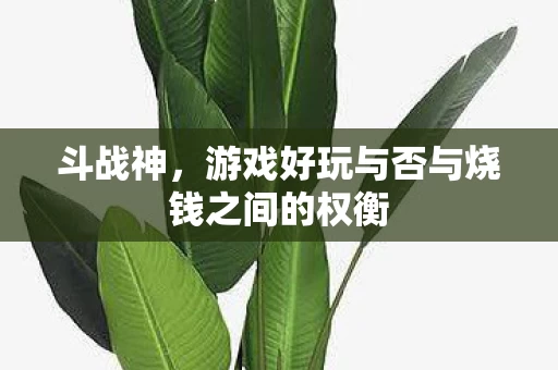 游戏好玩与否与烧钱之间的权衡图片