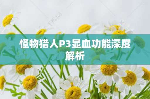怪物猎人P3显血功能深度解析图片
