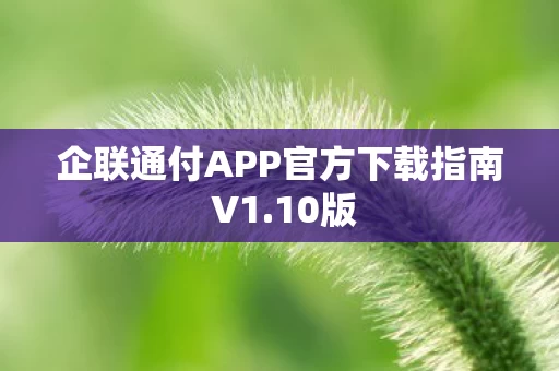企联通付APP官方下载指南 V1图片