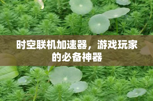 游戏玩家的必备神器图片