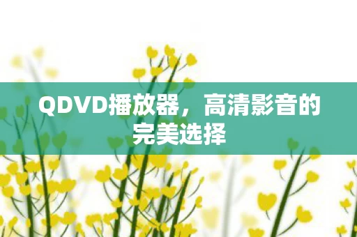高清影音的完美选择图片