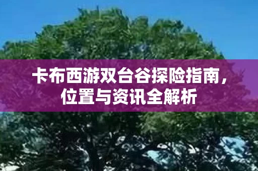 卡布西游双台谷探险指南图片