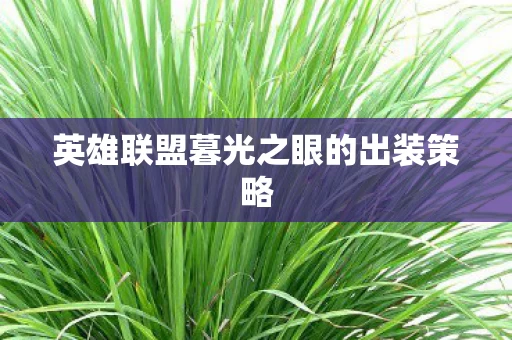 英雄联盟暮光之眼的出装策略图片