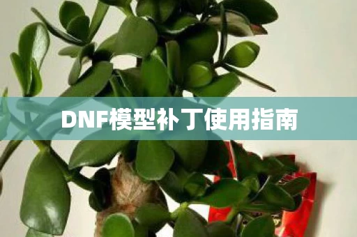 DNF模型补丁使用指南图片