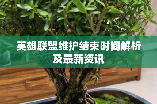英雄联盟维护结束时间解析及最新资讯图片