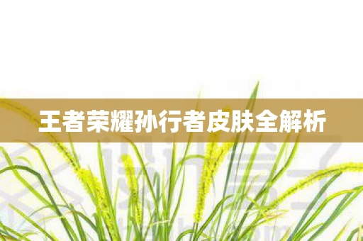 王者荣耀孙行者皮肤全解析图片