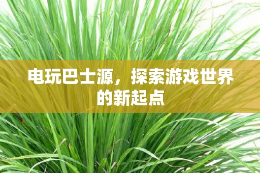 探索游戏世界的新起点图片
