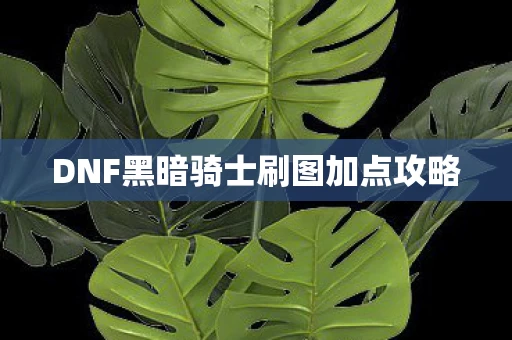 DNF黑暗骑士刷图加点攻略图片
