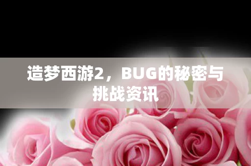 BUG的秘密与挑战资讯图片