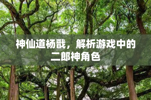 解析游戏中的二郎神角色图片