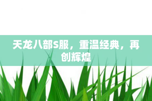 天龙八部S服图片
