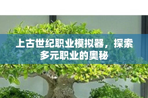 上古世纪职业模拟器图片
