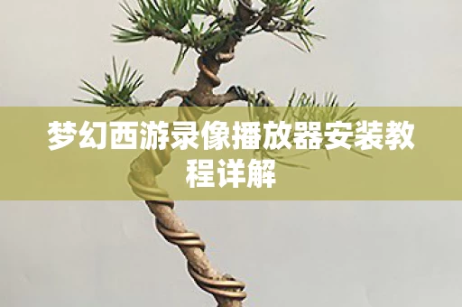 梦幻西游录像播放器安装教程详解图片