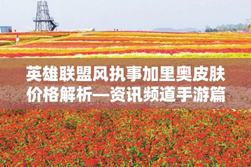 英雄联盟风执事加里奥皮肤价格解析图片