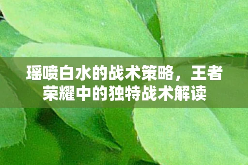 王者荣耀中的独特战术解读图片