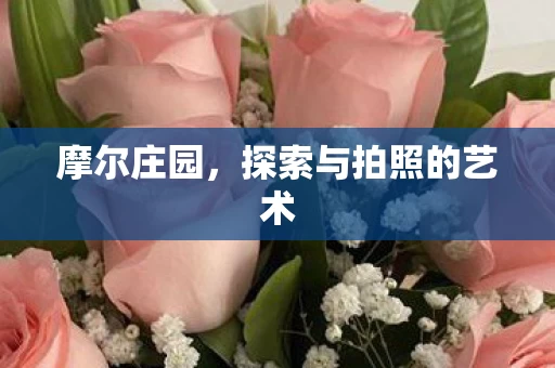 探索与拍照的艺术图片