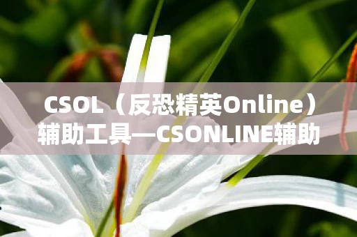 CSONLINE辅助的全方位解析图片