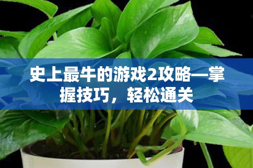 史上最牛的游戏2攻略图片