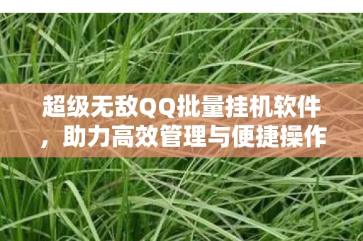 超级无敌QQ批量挂机软件图片