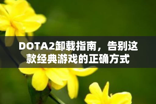 告别这款经典游戏的正确方式图片