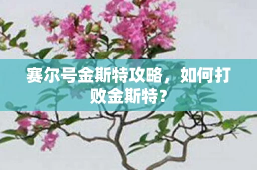 赛尔号金斯特攻略图片