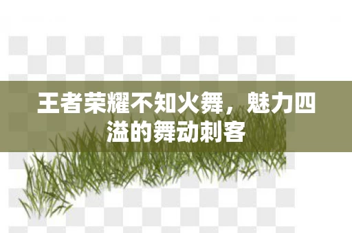 魅力四溢的舞动刺客图片