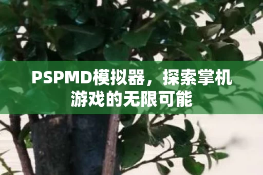 探索掌机游戏的无限可能图片