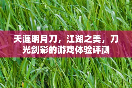 刀光剑影的游戏体验评测图片