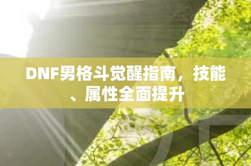 DNF男格斗觉醒指南图片