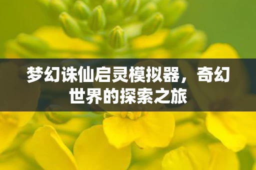 梦幻诛仙启灵模拟器图片
