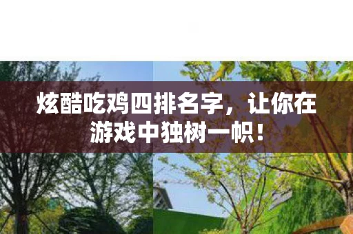 让你在游戏中独树一帜图片