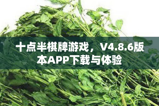 6版本APP下载与体验图片