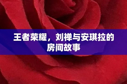 刘禅与安琪拉的房间故事图片