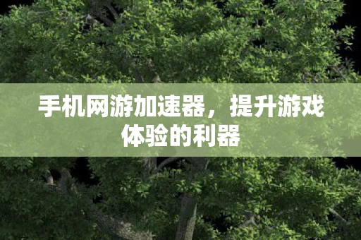 提升游戏体验的利器图片